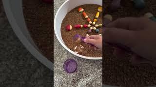 Grapat Bugs Sensory Inspire My Play Tray | Open Ended Toys