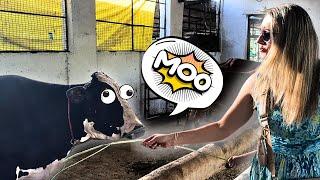 SHOCKING! When a Foreigner Visited an Indian Farm 