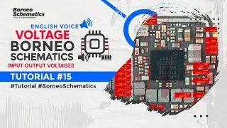 ENGLISH TUTORIAL 15:HOW TO USE BORNEO SCHEMATIC'S FEATURE: IN-OUT VOLTAGES