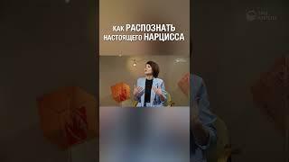 ⬆️ Полная версия, нажми на ▶️