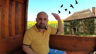 MISTERUL Din Casa BÂNTUITĂ‼️ CEASUL Din Aur ‼️ Ep.32