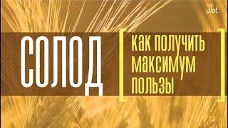 Солод: польза и особенности применения. Советы диетолога.