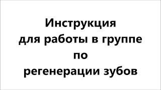 Инструкция для работы в группе по регенерации зубов