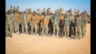 Ciidamada dowlad goboleedka Puntland oo saakay Jab xooggan gaarsiiyay kooxda Khawaarijta ee Daacish.