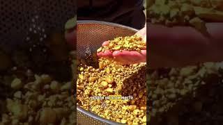 Место с большим количеством золота. #добычазолота #золото #золотоискатель