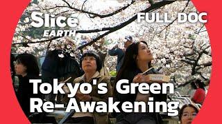 From Concrete to Green: Tokyo's Quest for Natural Balance | SLICE EARTH | FULL DOC