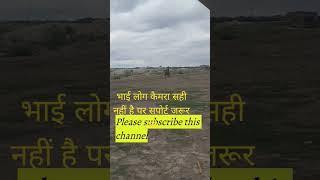 "धरती हिलेला जब Labdav India के सवार निकलेला!"#horse #bodyweightexercise #shortvideo #shorts