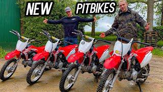 Pitbikes für die ganze Crew!