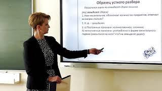6 класс. Русского язык. Правописание имён числительных. Морфологический разбор имени числительного