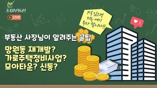 내 돈 억 있으면 여기 투자하세요 | 망원동 모아타운