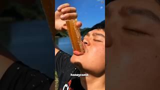 Why You Shouldn't Eat Raw Honeycomb! 