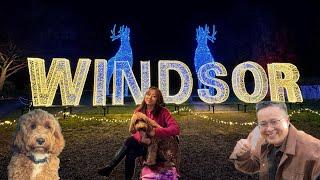 Windsor Great Park Illuminated