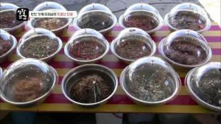 부모-생활보감 - 반찬가게 아저씨의 맛깔난 인생_#001