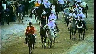 Alysheba - 1988 Breeders Cup Classic (NBC) - Part I