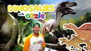 Dinosaur Epic Adventure | T-Rex + Megalodon + Spinosaurus | Amazing Dino Museum