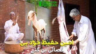 Amin Hafeez Khud Hi Qasai Ban Gay | Discover Pakistan TV