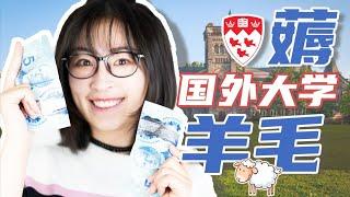 麦吉尔大学 留学生如何在一个月赚够半年生活费 | 学术兼职 怎么做 | 苏苏思量