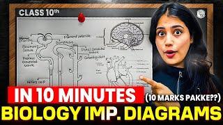 Class 10th Biology Most Important Diagrams In 10 Minutes| Diagram Based Questions