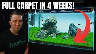 MAKING A CLASSIC ROCK AQUASCAPE FOR GALAXY RASBORAS! Aquascape Tutorial