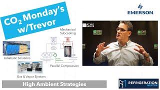 High Ambient Strategies in CO2 Refrigeration