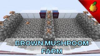 Automatic Brown Mushroom Farm