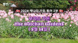  2024 캐나다 가든 투어 2부  부차드 가든 The Butchart Gardens  Victoria Island, Canada 05. 13일 상