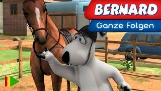 Bernard Bear - 133 - Dressur | Ganze folgen |