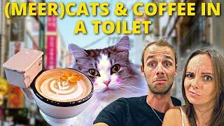 7 MOST CRAZY cafés in Seoul - Cafe Hopping South Korea