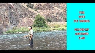 the wet fly swing