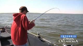 Texoma Striper Fishing