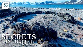 Strange Formations Discovered on Remote Arctic Island | Secrets in the Ice | Science Channel