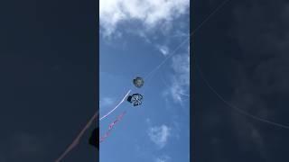 Volando Chichigua Lajiando Cometa O Papalote #shortvideo #kite #kiteflying