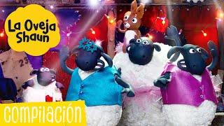 Compilación - La Oveja Shaun Temporada 6 [Shaun the Sheep S6]