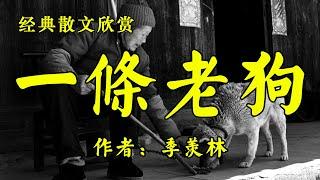 经典散文欣赏《一条老狗》作者：季羡林！散文《疏不间亲》作者：南怀瑾！