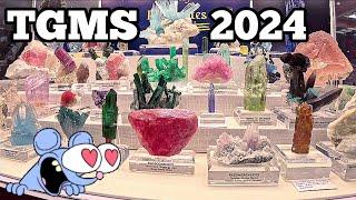 Tucson Gem & Mineral Show! ️ #gems #crystals #tucsongemshow #tourmaline #pegmatites #beryl #rocks