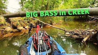 Chickamauga Bass Kayak Fishing (Tourney Wrap-up)