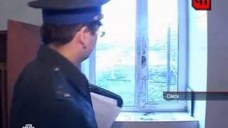 Ограбление и отравление в приюте для животных