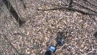 Silver #2 2015 clad vs silver AT Pro detecting