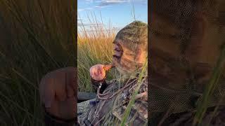 Something about the marsh, it will always be my favorite #louisiana #outdoors #outdoorwomen