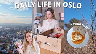 Grocery Haul & Making Turkish Eggs (Çılbır) While Working From Home In Oslo | 9-5 Office Job Norway