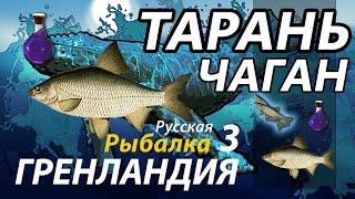 Тарань Чаган / РР3 [ Русская рыбалка 3.9 Гренландия]