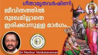 ജീവിതത്തിൽ ദുഃഖമില്ലാതെ ഇരിക്കാനുള്ള മാർഗം…| Sri Nochur Swami | Bhagavad Gita Ch:18(Palakkad 2016)