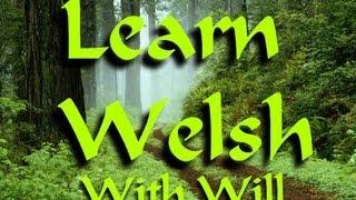 Learn Welsh with Will  - Ep6: I want and I don't want.