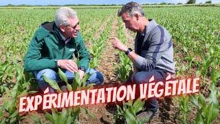 Visite de la station de recherche et d'expérimentation de Boigneville : ARVALIS