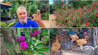 HERDOU DE SUA MÃE O AMOR POR PLANTAS, E HOJE, POSSUI VÁRIAS FLORES E FRUTAS EM SEU SÍTIO.