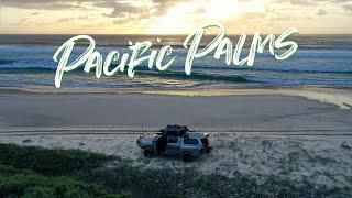 Exploring Pacific Palms on NSW North Coast