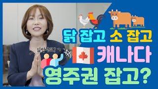 [캐나다 이민] NO 경력, 기초 영어도 가능한 캐나다 농식품 이민