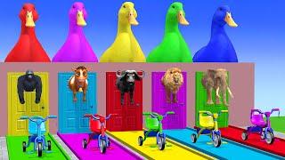 Long Slide Game With Cow Elephant Gorilla Hippopotamus Tiger - 3d Animal Game - Funny 3d Animals
