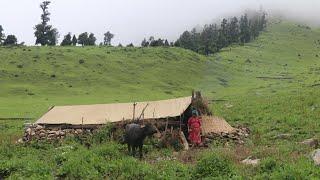 Most Peaceful and Relaxing Nepali Mountain Village Lifestyle || Happy Village Peoples || IamSuman