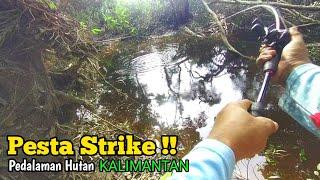 KEMANA AJA LEMPAR UMPAN PASTI DI SAMBAR ||PESTA STRIKE DI PEDALAMAN HUTAN KALIMANTAN